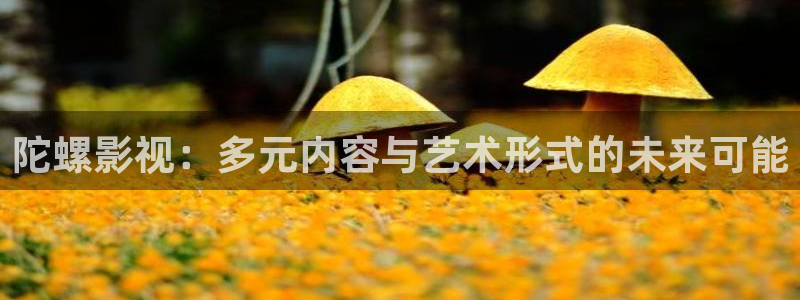 被窝理论电影网