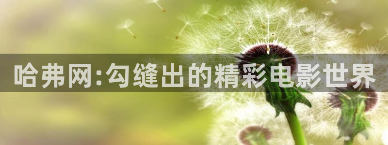 神马被窝电影网：哈弗网:勾缝出的精彩电影世界