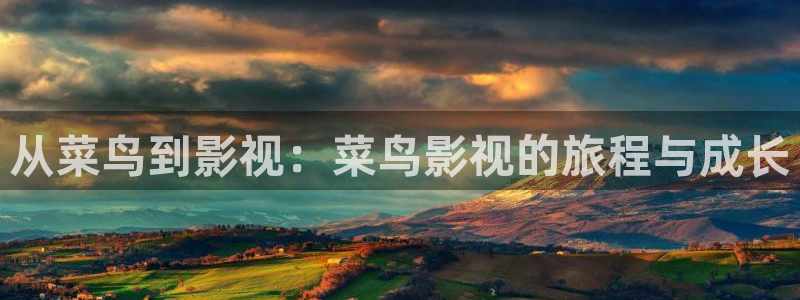 爱看被窝电影：从菜鸟到影视：菜鸟影视的旅程与成长