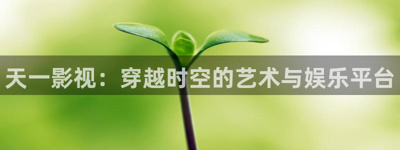 久久被窝影院：天一影视：穿越时空的艺术与娱乐平台