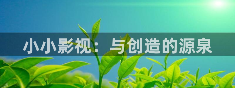 被窝影院手机在线：小小影视：与创造的源泉